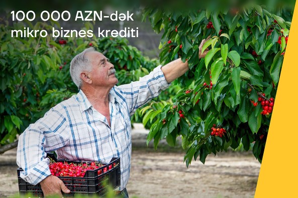 yelo-bank-dan-100-000-manatadek-mikro-biznes-krediti